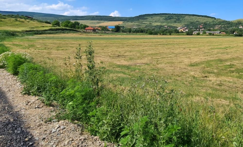 Parcele Teren Industrial