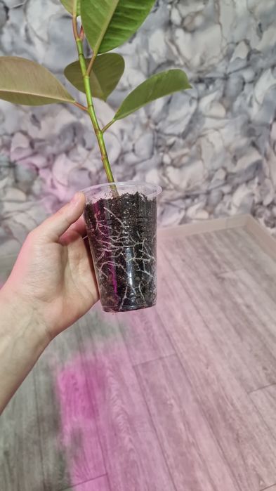 Грунт для комнатных цветов