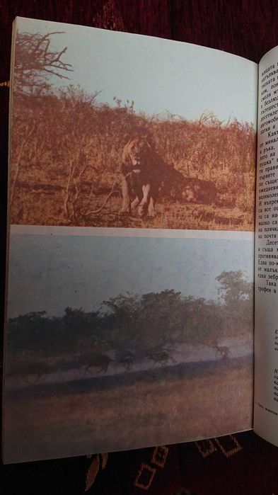 Сред животните на Африка от Бернхард Гжимек.