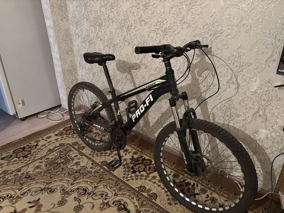 Pro-fi велик жаксы багада