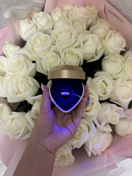 41штук голлландский роза