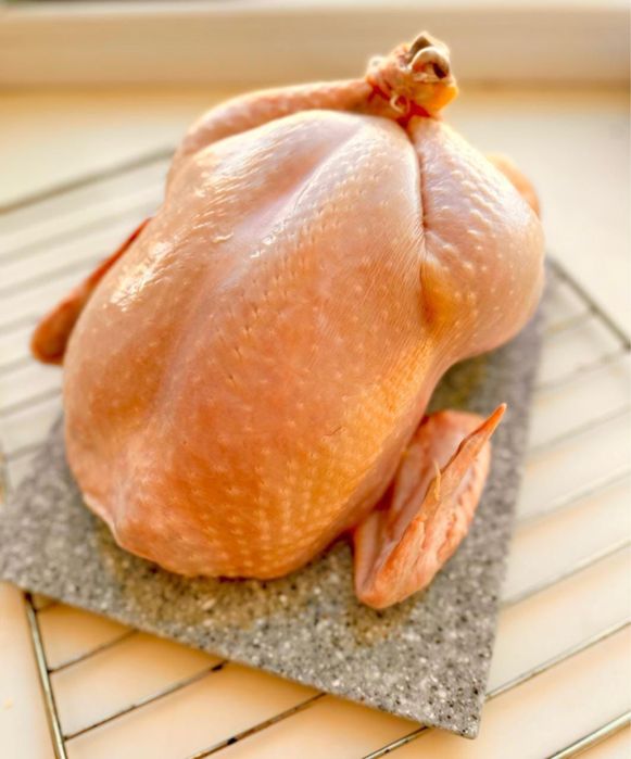 Фермерская уурица бройлер