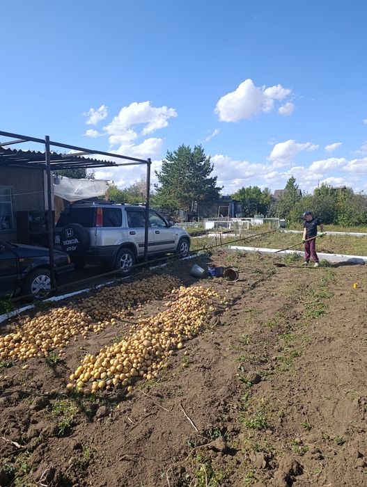 Продам дачу общество ПК" Каучук"