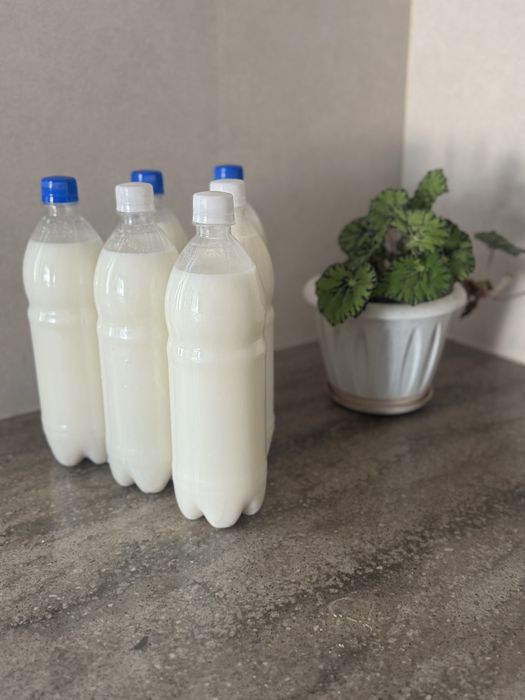 Продам кымыз натуральный
