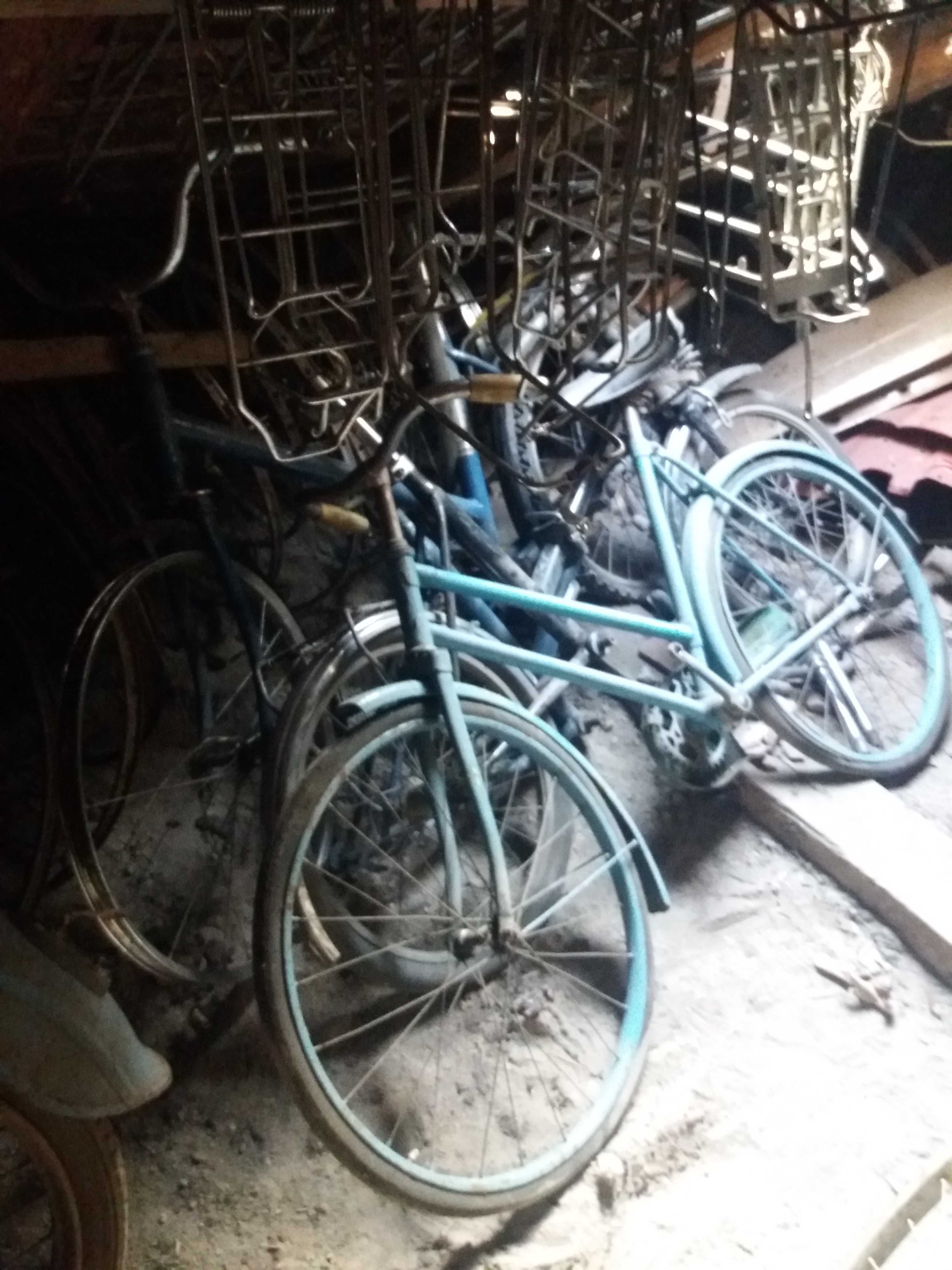 length Company scale Bicicleta velorom pionier de colectie Cluj-Napoca • OLX.ro