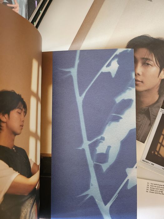 Bts RM - Indigo album