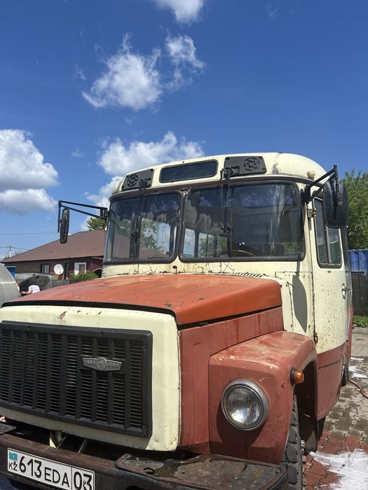 Продам живой КавЗ