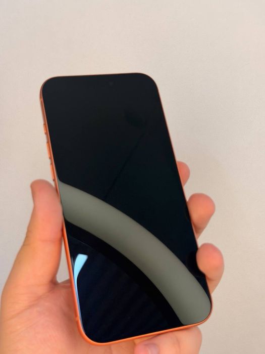 iPhone 17 Pro Max | 256 GB