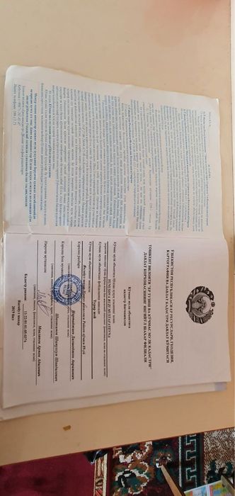 Uchaska sotiladi yangiyolda