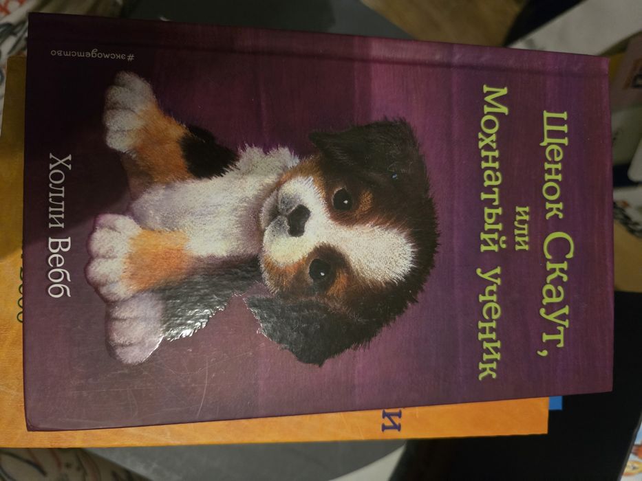 Продам книги детские Холли Вебб