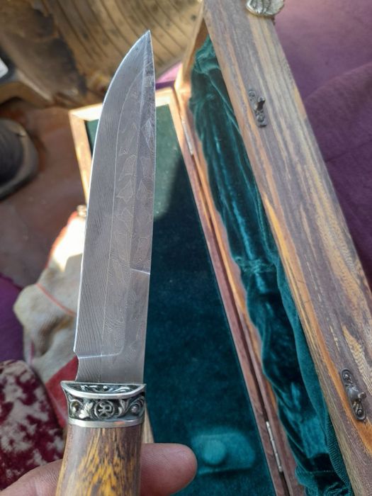 Pichooq 1950 yilniki