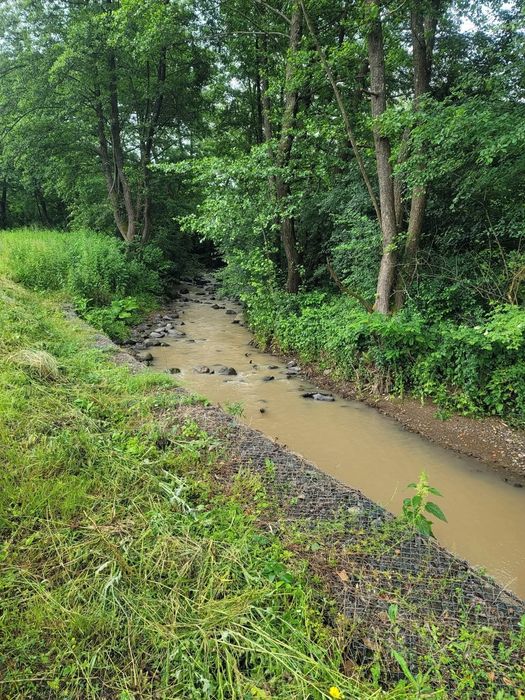 Vand Casa la tara cu 5 Ha teren in jud Hunedoara