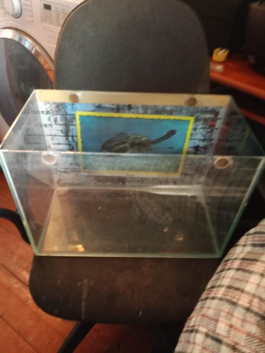 Продам аквариум 30 литров за 3000 тенге