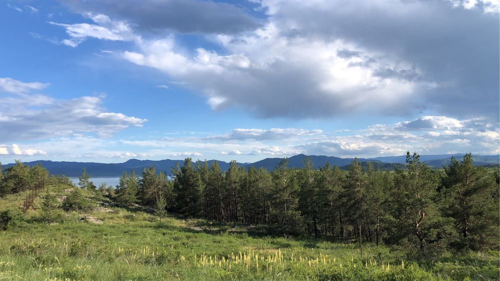 Сдам дом на Бухтарме