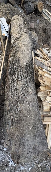 Lemen de nuc la 3m lungime 70 diametru+ ce se vede in poze dau totu