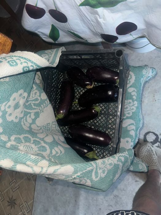 Продам .                            .