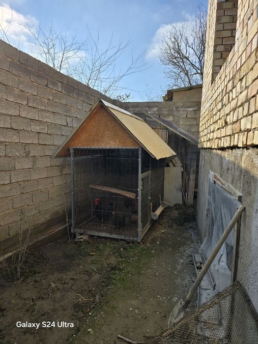 Продается курятник и газ будка