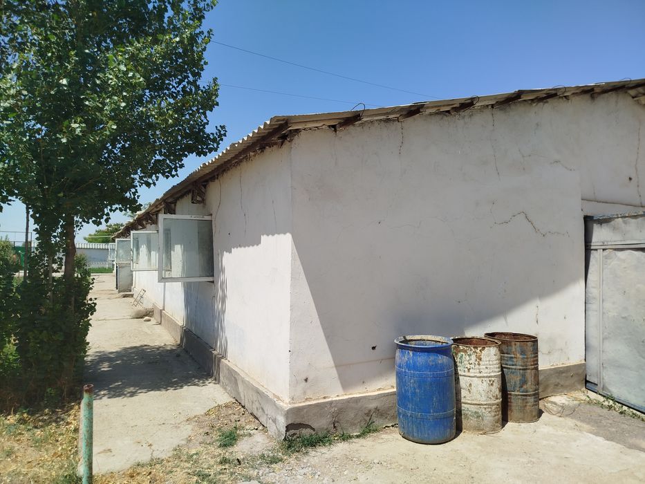 Ferma sotiladi 31 sotik maydonga qurilgan