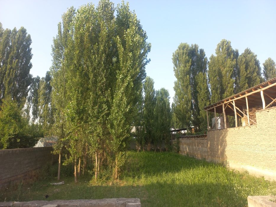 Chek sotiladi! Quruq yer sotiladi