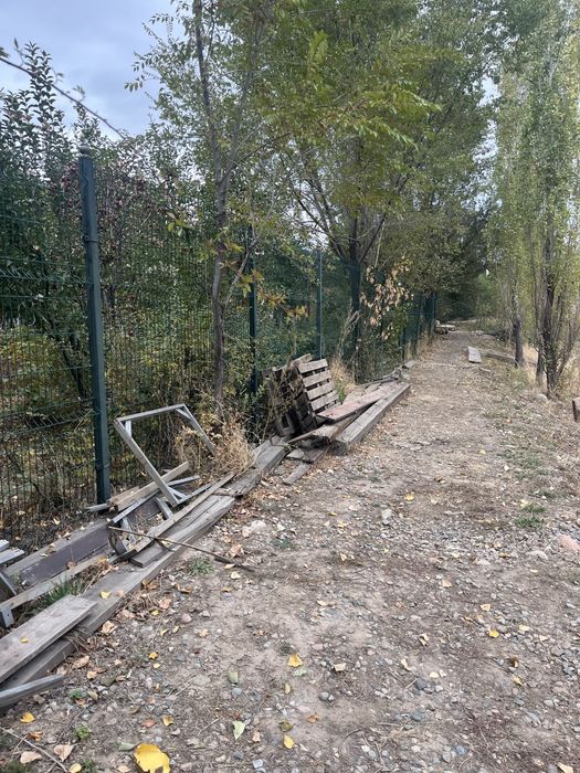 дрова бесплатно.