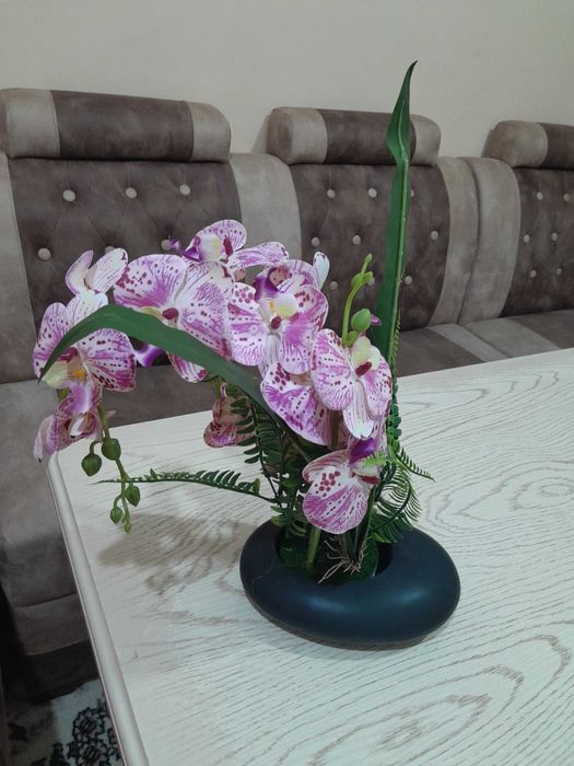 Dekorativniy suniiy gullar