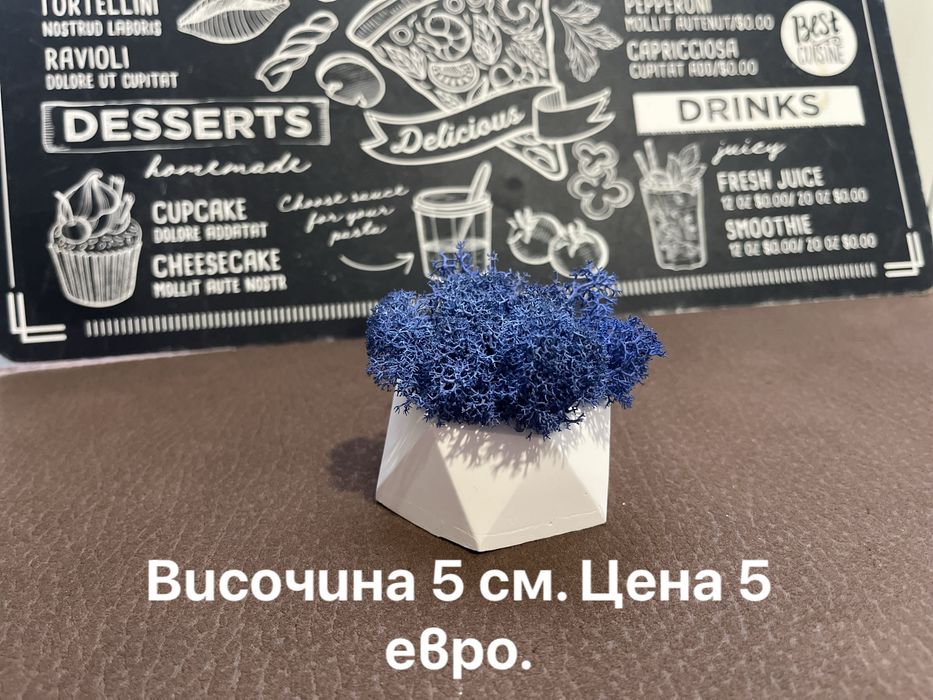 Декорация със скандинавски мъх