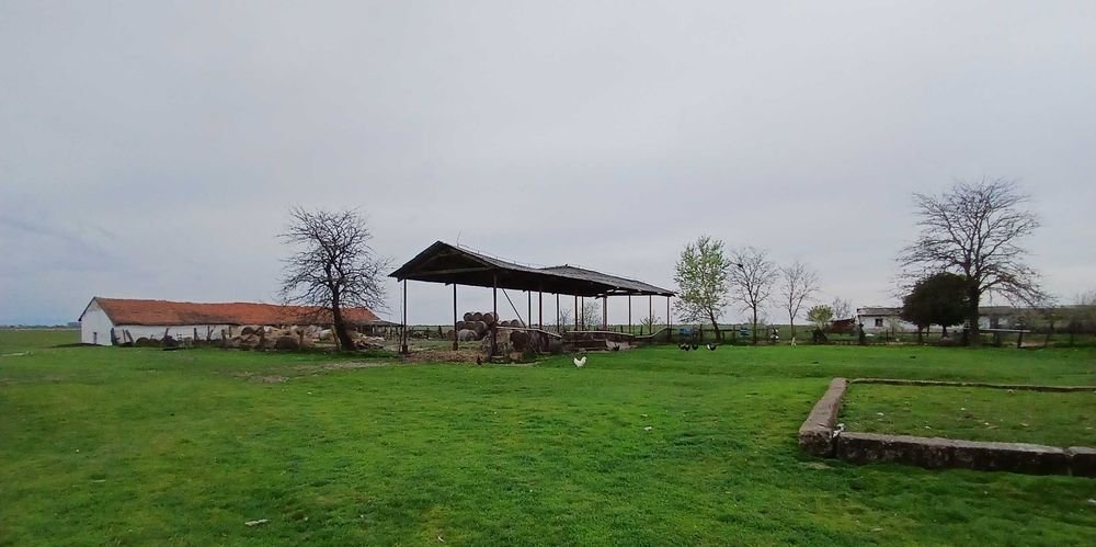 Ferma agricola Salonta