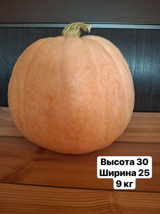 Тыква сортовая, очень вкусные