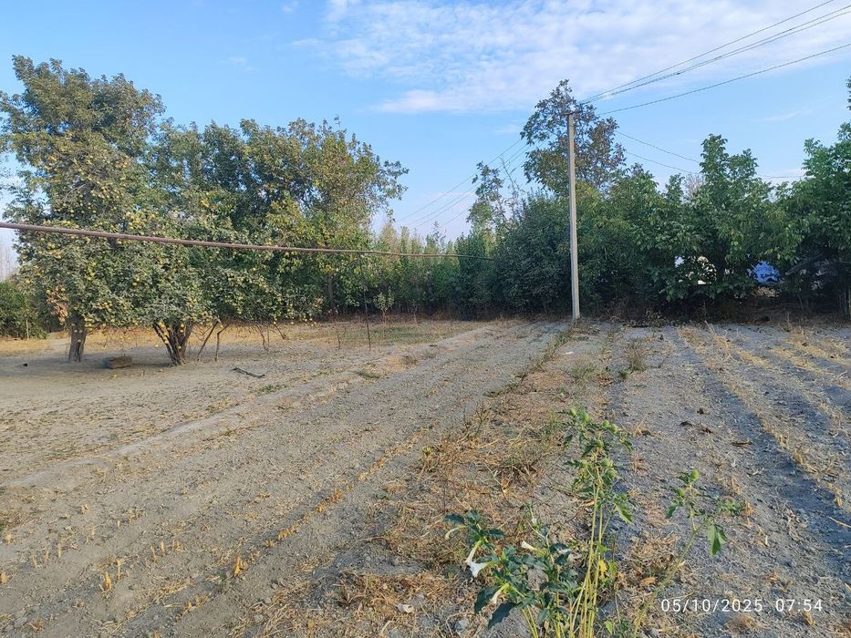 uchaska hovli jomboyda