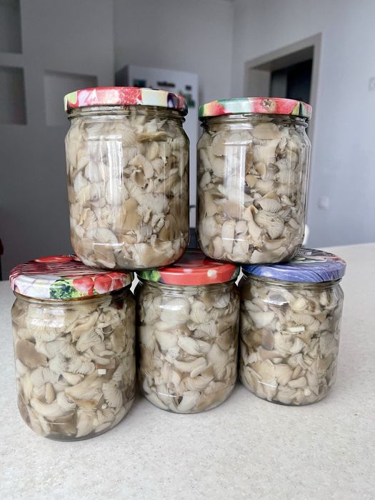 грибы маринованные