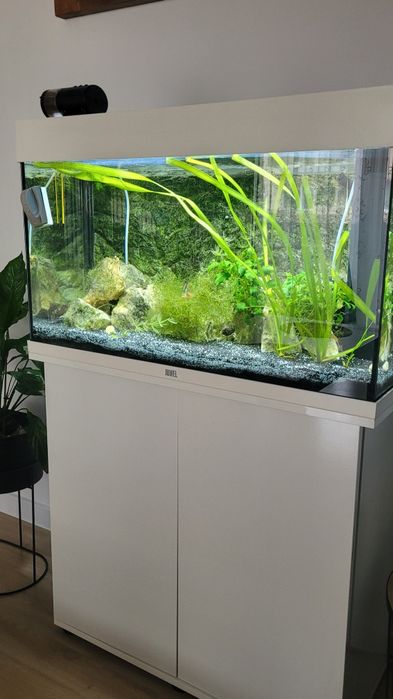 Acvariu Juwel  complet echipat 125L +plante , pietre etc