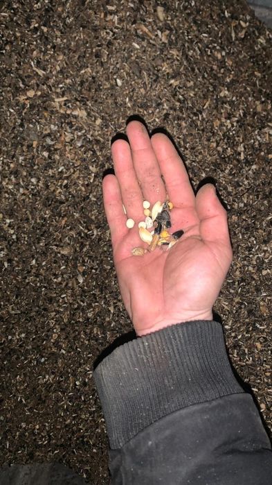 Продается отход от семечки.