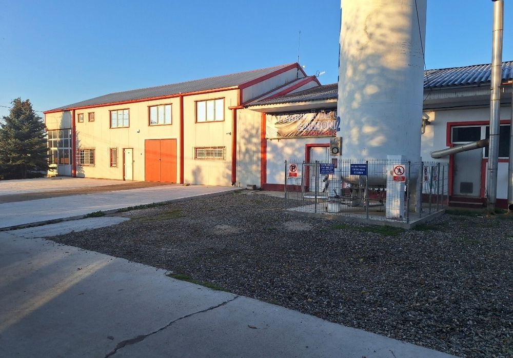 Hale vanzare de la 100 mp, la 250mp, zona Dedeman Auchan