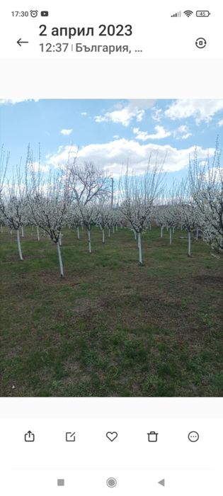 Продава се Къща в с. Асеновци, Област Плевен - 60 кв.м за 192 €/кв.м - Снимка #5