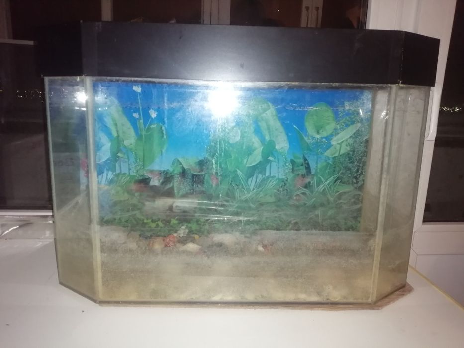 Аквариум 80 литров