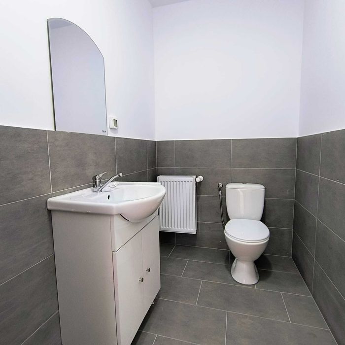 Direct Proprietar - Hale noi de inchiriat Domnesti