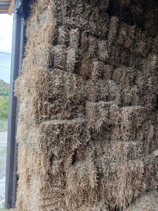 Baloti de paie si lucerna, calitate buna