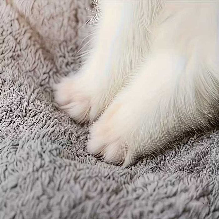 Мека и топла къща за домашни любимци, кучета и котки с двоен покрив