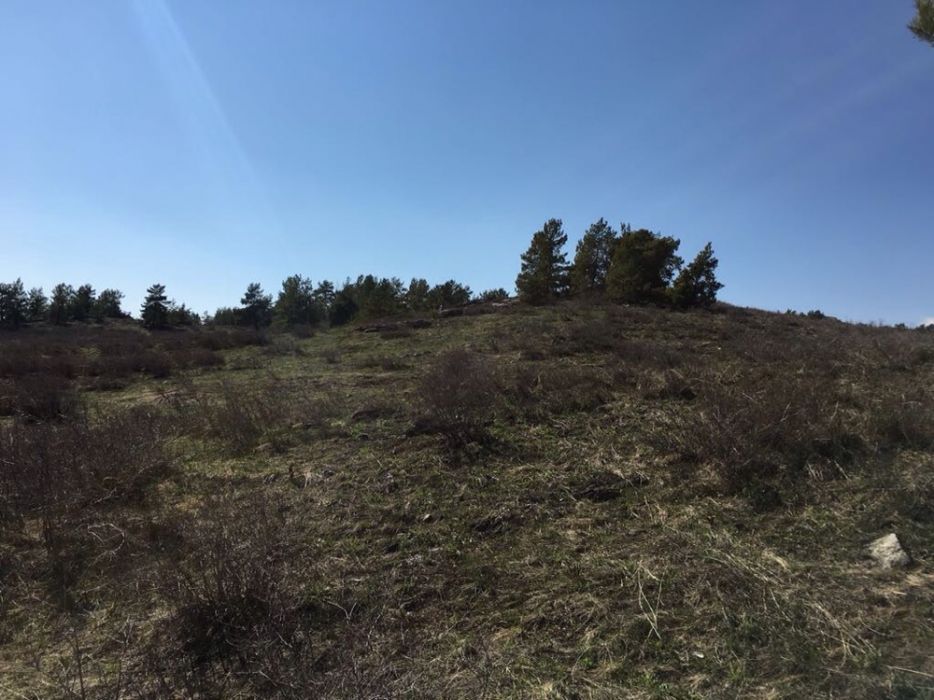 Продам участки в Новой Бухтарме