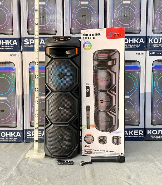 Kalonka Sing-e ZQS8301