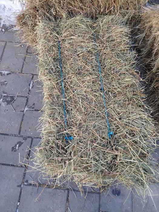 Baloți de fin și lucernă