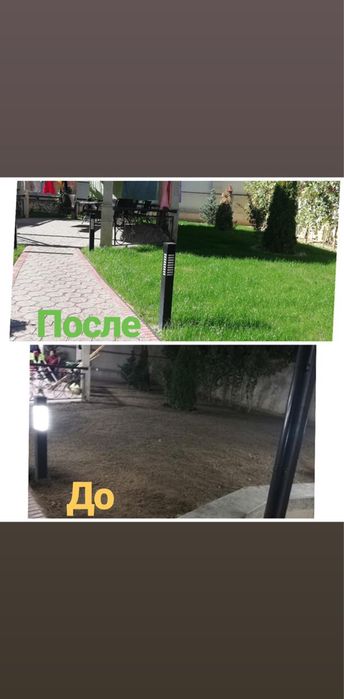 Газон Авто полив