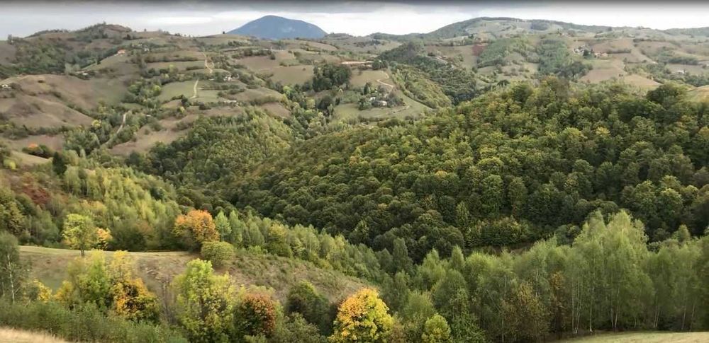 Teren intravilan construibil Poiana Marului, Brasov