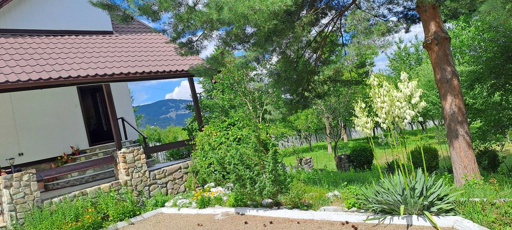 Casa individuala linga padure,liniste , intimitate,piscina, gradina, la 15 minute de Mall Piatra Neamt