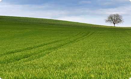 Продавам 4 големи парцела земеделска земя в близост до главен път