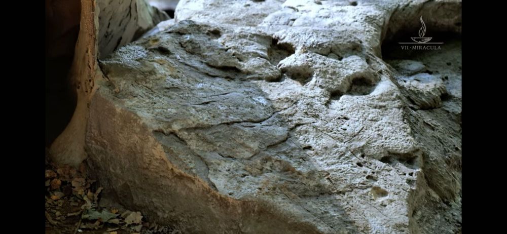 Камни , скалы, мох ,  для ландшафтногодекора.