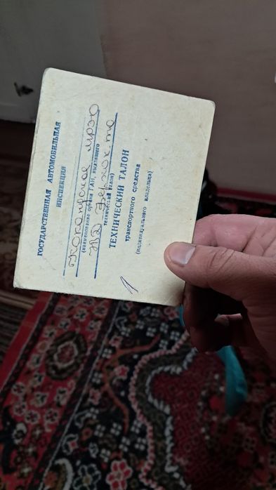 Moshina prsepi holati ortacha