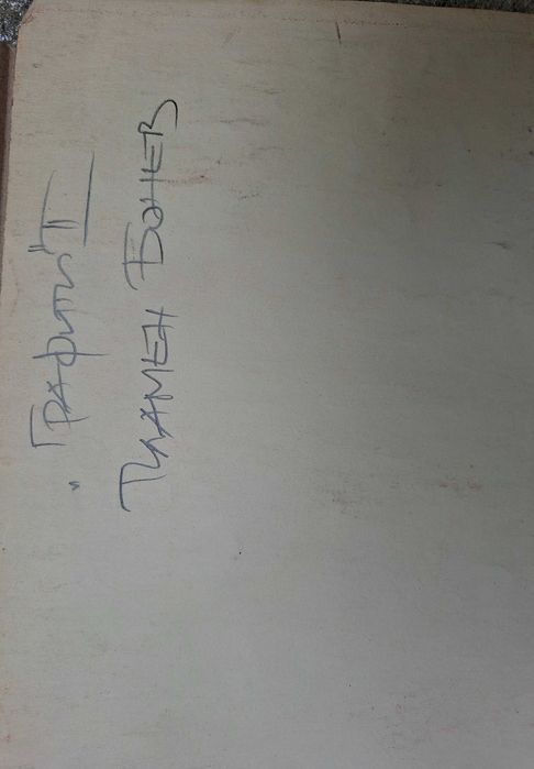 Картина Картини Пламен Бонев