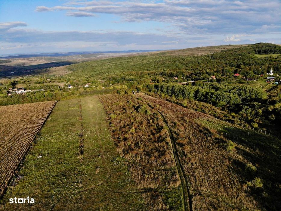 Teren intravilan