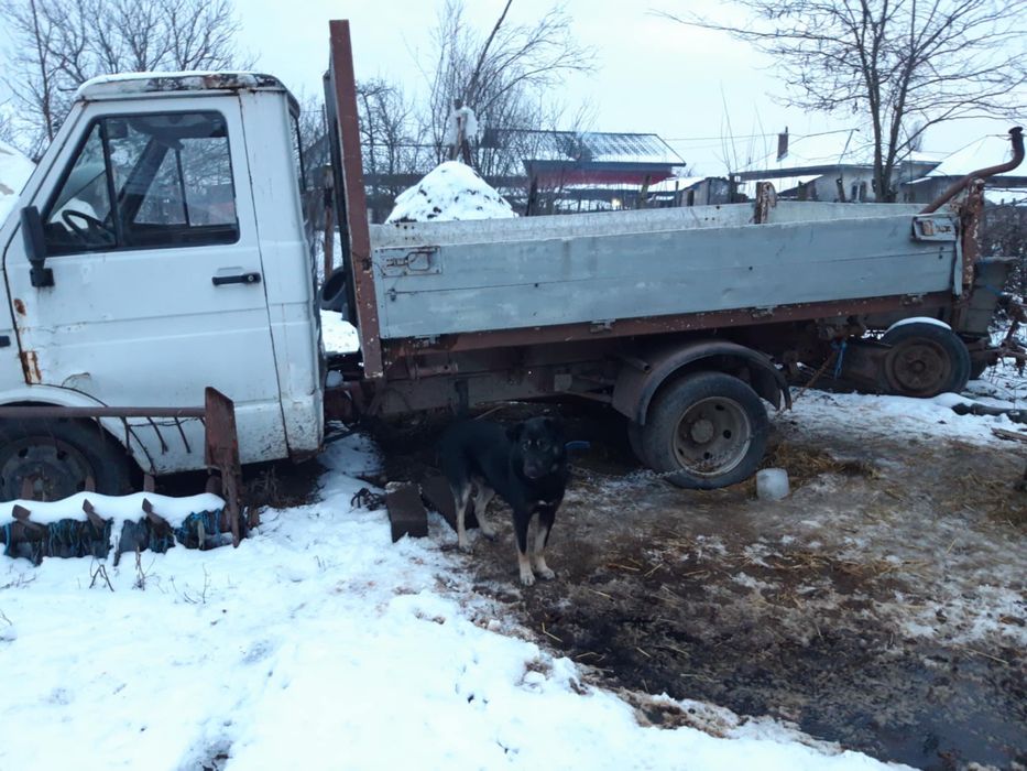 Vând Iveco daily basculabil